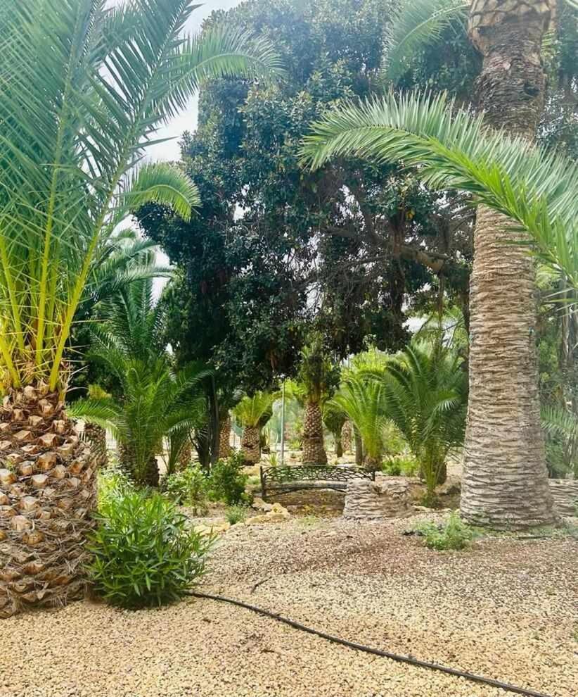 Sol Mediterraneo Palm Beach 3 Вилахойоса Екстериор снимка
